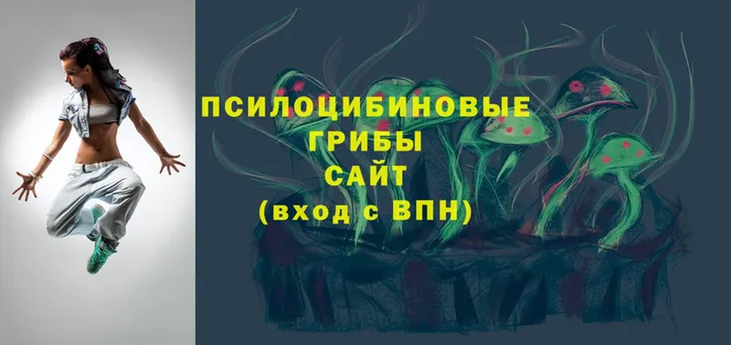 Псилоцибиновые грибы прущие грибы  цена   blacksprut как войти  Шарыпово 